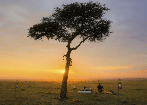 Top 3 Iconic Safari Destinations in Africa to visit, presented by ...