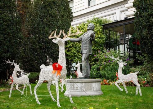 54211244973_7d7649e1fe_c