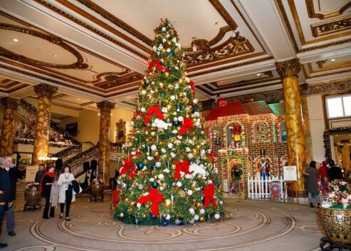 54211254549_a05c51f07a_c